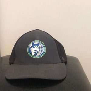 Timber wolves hat